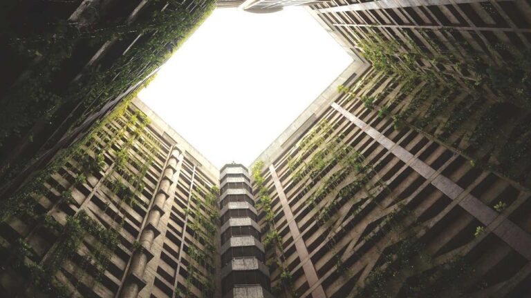 What Topics Does 99Exch Player Support Help Resolve?