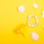 Reddybook Review: How This Innovative Platform Transforms Learning and Connects with 11xplay